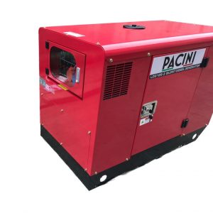Pacini LDG12S3 13.7KVA 3 Phase Diesel Canopy Generator